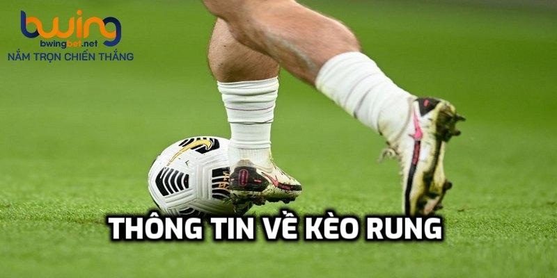 Một số thông tin về kèo rung là như thế nào