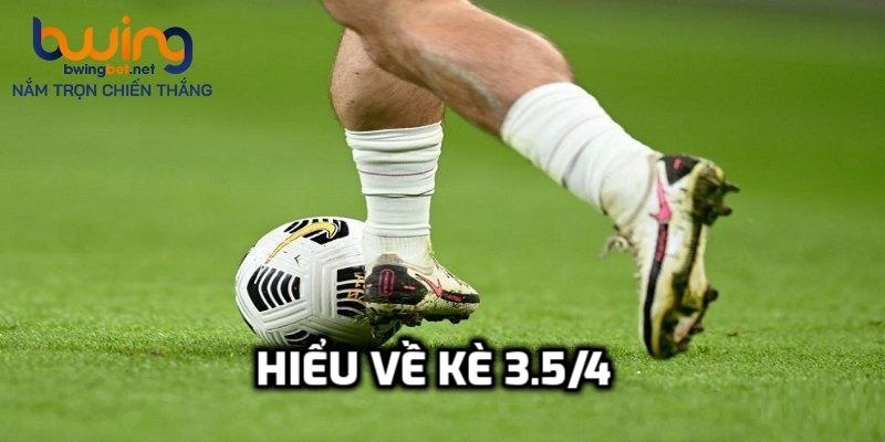 Dữ liệu chung khi tìm hiểu về kè 3.5/4