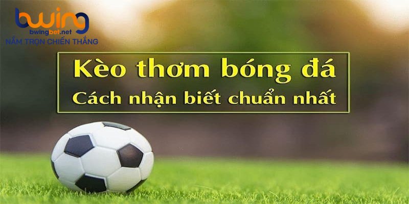 Nhận biết kèo ngon qua so sánh