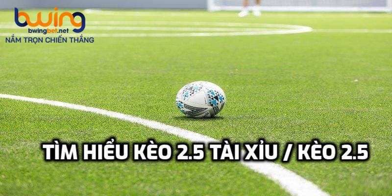 Tìm hiểu kèo 2.5 tài xỉu / kèo 2.5